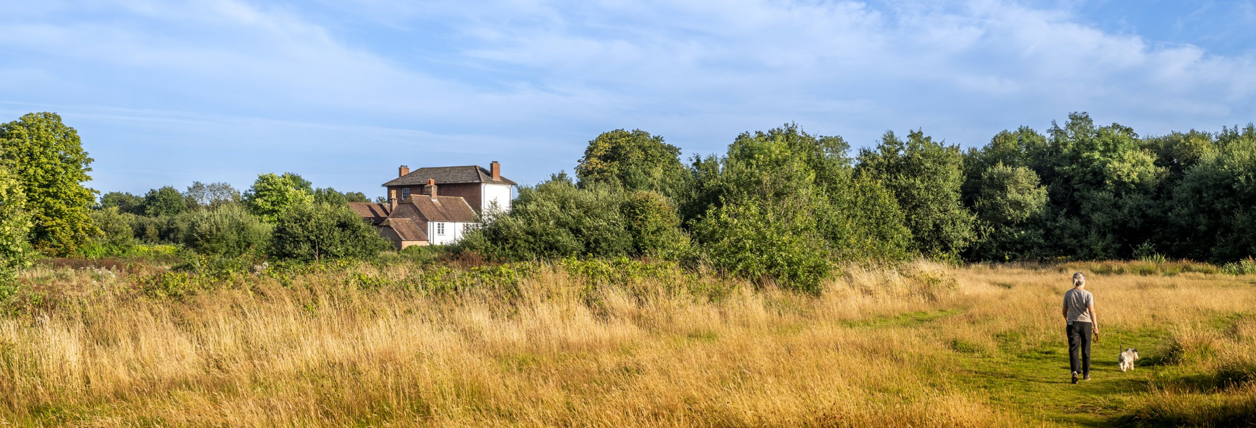 Fields and trees surrounding Leigh House, offices of Spetisbury Construction